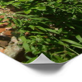 Engelse Cottage I Poster (Hoek)