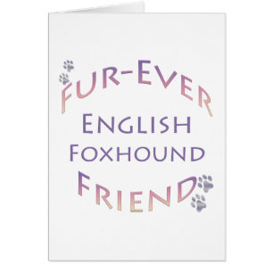 Engelse Foxhound Furever