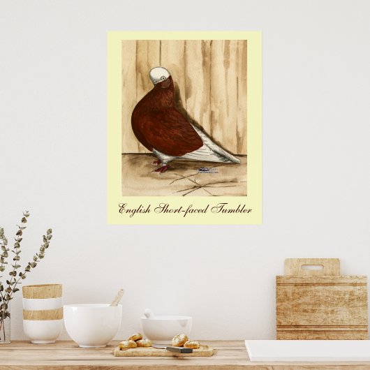 Engelse geforceerde Bald-duif Poster (Keuken)