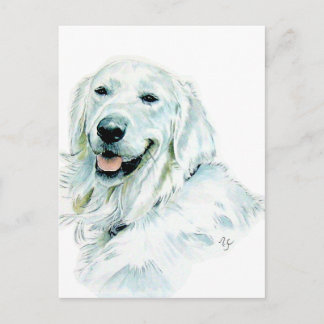 Engelse Golden Retriever Post Cards Briefkaart