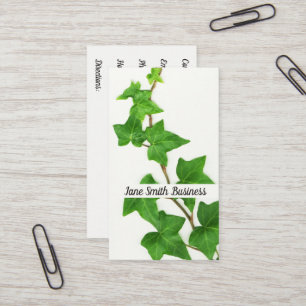 Engelse Ivy White achtergrond Groene wijnstok Visitekaartje