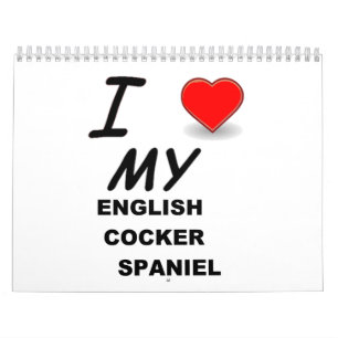 engelse kalender voor spaniel