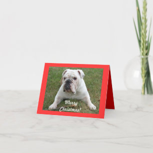 Engelse kerstkaartjes voor Bulldog Feestdagen Kaart