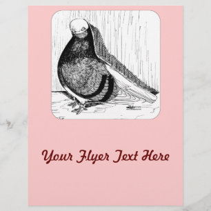 Engelse kortharige duivenkaal 1978 flyer