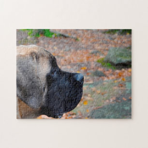 Engelse Mastiff. Legpuzzel
