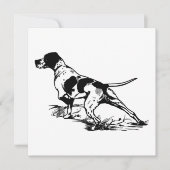 Engelse pointer (Voorkant)