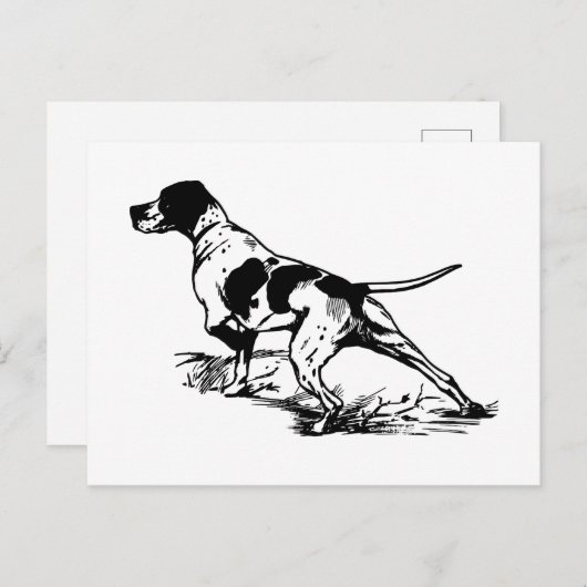 Engelse pointer briefkaart (Voorkant / Achterkant)