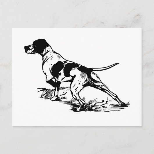 Engelse pointer briefkaart (Voorkant)