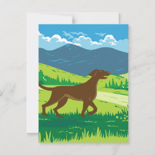 Engelse Pointer Dog met Mount Redfield in de Adi Briefkaart