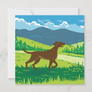 Engelse Pointer Dog met Mount Redfield in de Adi Kaart