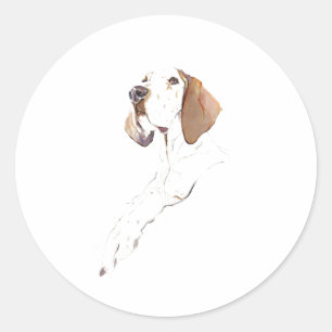 Engelse Pointer Hond Sticker