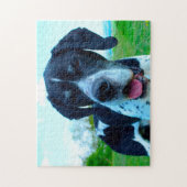 Engelse Pointer. Legpuzzel (Verticaal)