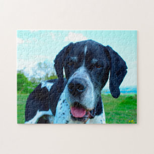 Engelse Pointer. Legpuzzel