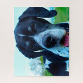 Engelse Pointer. Legpuzzel (Verticaal)