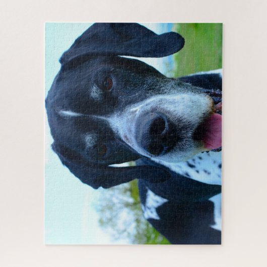 Engelse Pointer. Legpuzzel (Verticaal)