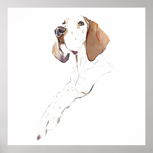 Engelse Pointer Muur Kunst Poster, Honden Kunst Pr Poster (Voorkant)