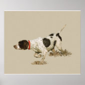 Engelse pointer poster (Voorkant)