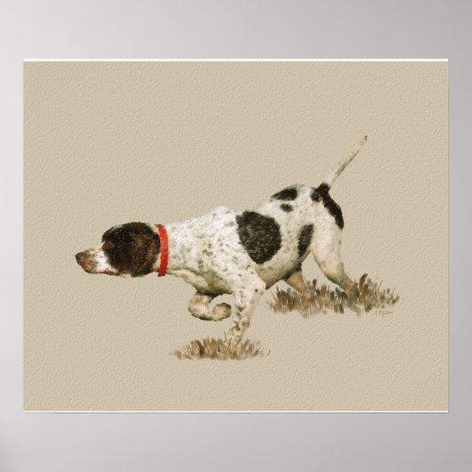 Engelse pointer poster (Voorkant)