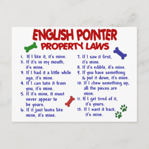 ENGELSE POINTER Property Laws 2 Briefkaart