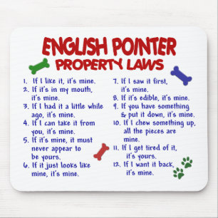 ENGELSE POINTER Property Laws 2 Muismat