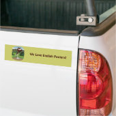 Engelse pouter duif met bergen bumpersticker (Op Truck)
