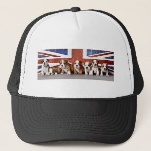 Engelse puppies trucker pet