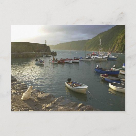 Engelse scènes, Clovelly harbor Devon, Briefkaart (Voorkant)