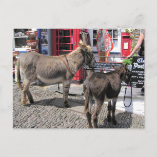 Engelse scènes, Donkeys in Clovelly, North Devon Briefkaart