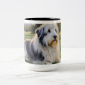 ENGELSE SCHAPENHOND LIGGEND IN HET VELD TWEEKLEURIGE KOFFIEMOK (Center)