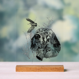 Engelse Setter Acryl Bord