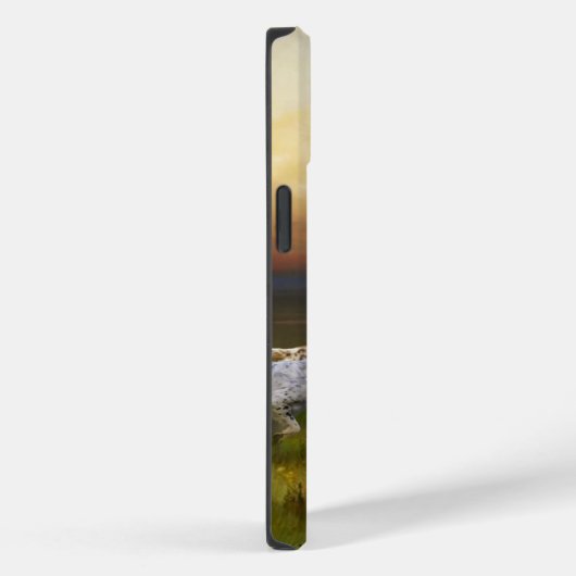Engelse Setter Case-Mate iPhone Case (Achterkant / Rechts)