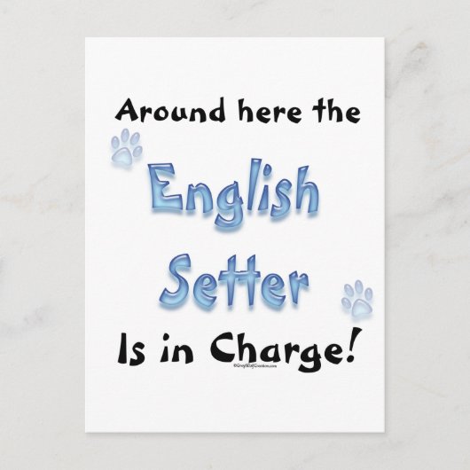 Engelse Setter Charge Briefkaart (Voorkant)
