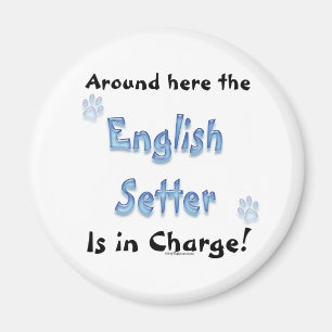 Engelse Setter Charge - Magnet Magneet