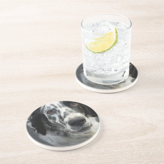 Engelse Setter Dog Onderzetters (Zijkant)