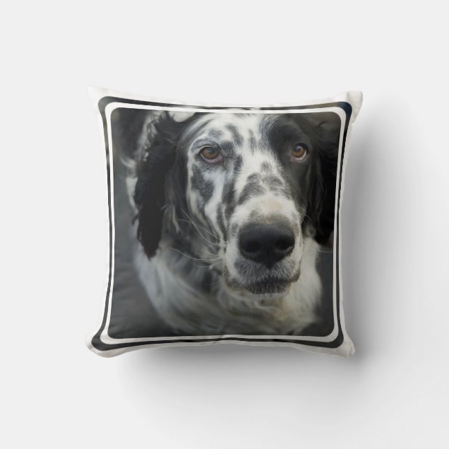 Engelse Setter Dog Pillow Kussen (Voorkant)