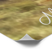 Engelse Setter, fazantjacht Poster (Hoek)