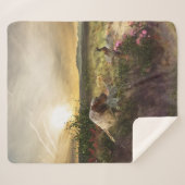 Engelse Setter, fazantjacht Sherpa Deken (Voorkant (horizontaal))