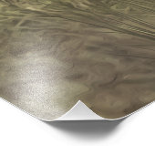 Engelse Setter Foto Afdruk (Hoek)