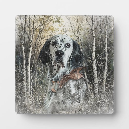 Engelse Setter Fotoplaat (Voorkant)