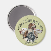 Engelse setter kan niet één magneet hebben (Voorkant / Achterkant)