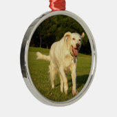 Engelse Setter Metalen Ornament (Rechts)