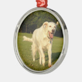 Engelse Setter Metalen Ornament (Links)