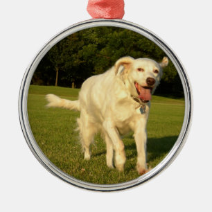 Engelse Setter Metalen Ornament