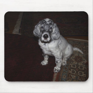 Engelse Setter Muismat