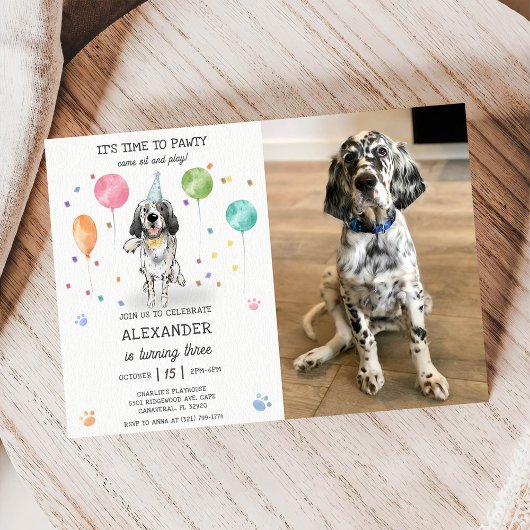 Engelse Setter Pawty Dog Puppy Verjaardag Blauw Fo Kaart