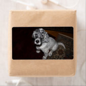 Engelse Setter Puppy Etiket (Insitu)