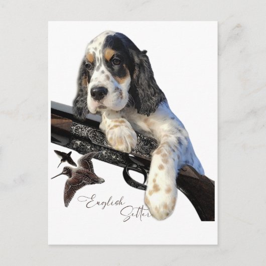Engelse Setter, schattige puppy Briefkaart (Voorkant)