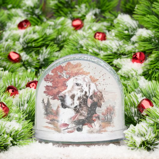 Engelse Setter Sneeuwbol (Kerstmis)