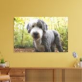 Engelse Sheepdog-puppy in het bos Canvas Afdruk (Insitu (Woonkamer))