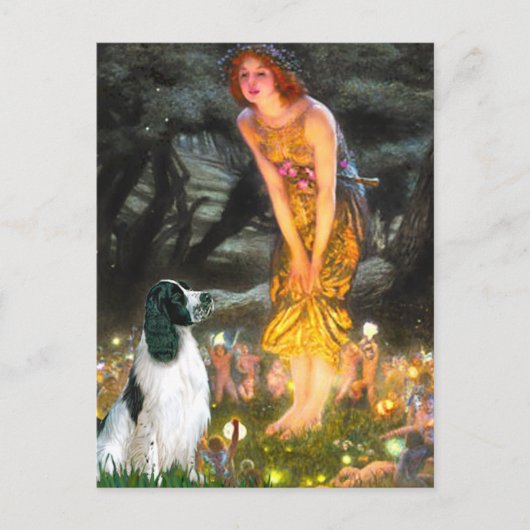 Engelse Springer 7 - MidEve Briefkaart (Voorkant)